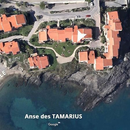 Collioure Appart En Bord De Mer Plage A 50M Clim Garage Location Du Samedi Au Samedi Exterior foto